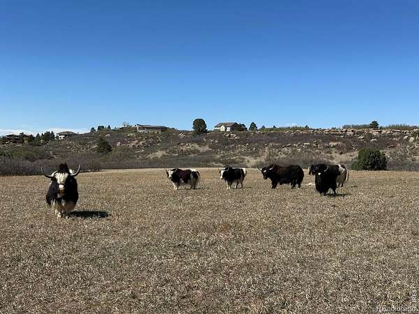 176 Acres of Recreational & Residential Land for Sale in Castle Rock, Colorado
