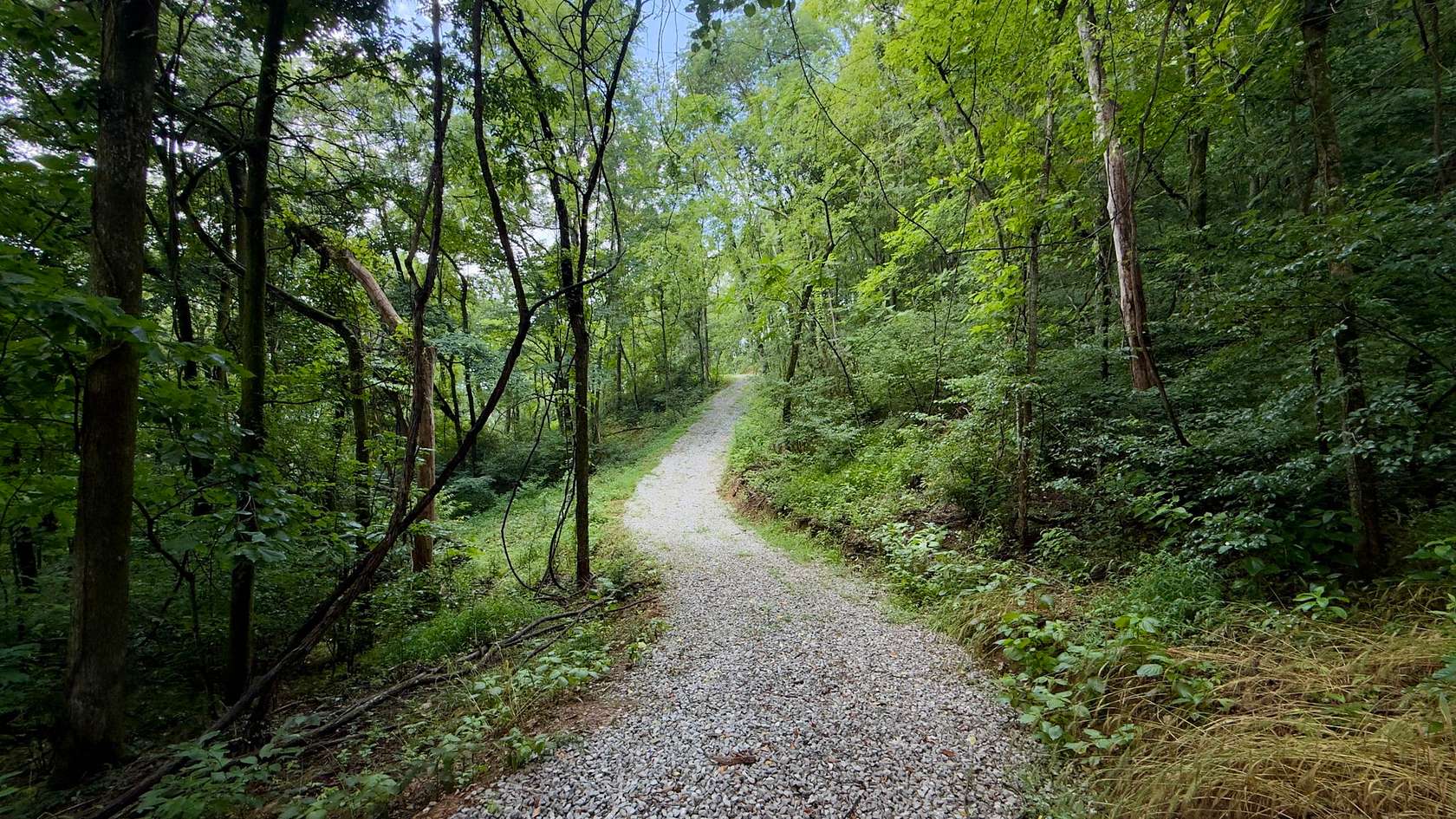 18.9 Acres of Land for Sale in Dowelltown, Tennessee
