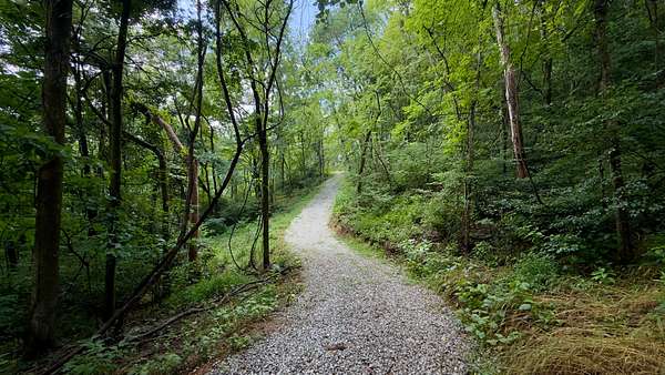 18.9 Acres of Land for Sale in Dowelltown, Tennessee