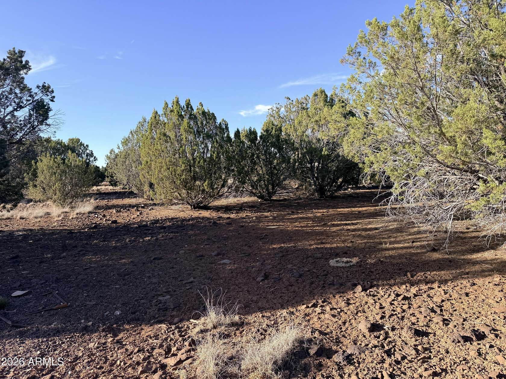 10 Acres of Residential Land for Sale in Show Low, Arizona