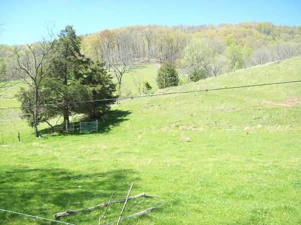 31.5 Acres of Land for Sale in Tazewell, Tennessee