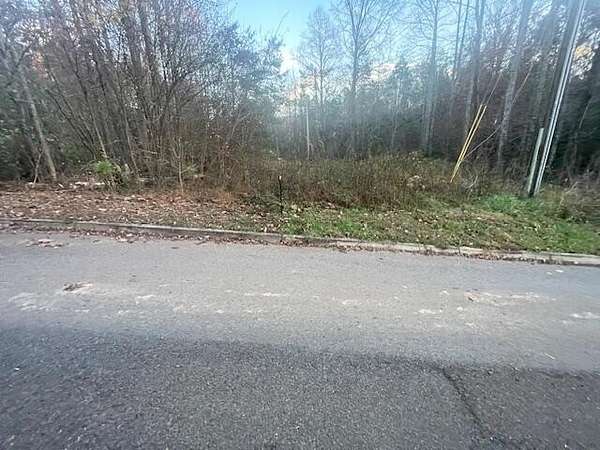 1 Acre of Residential Land for Sale in Cosby, Tennessee