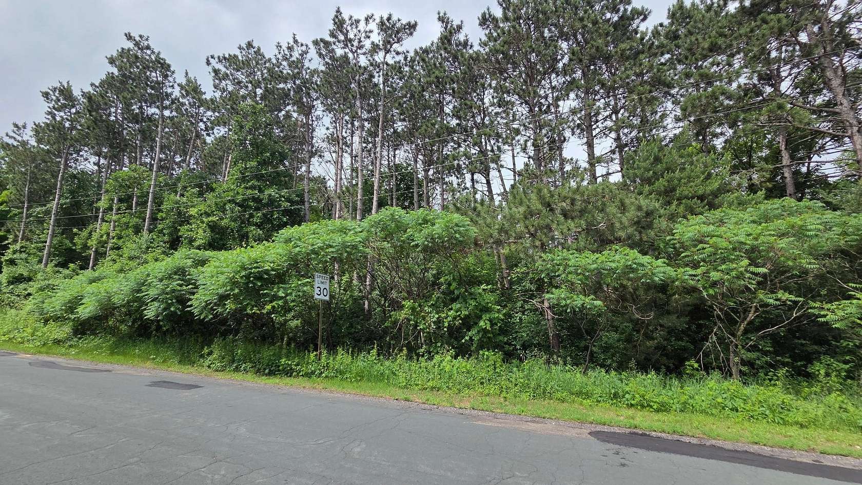 2 Acres of Residential Land for Sale in Andover, Minnesota
