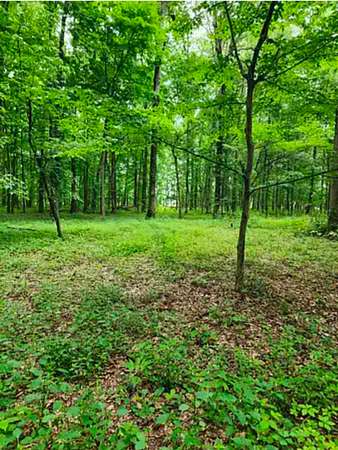 7 Acres of Residential Land for Sale in Sardinia, Ohio