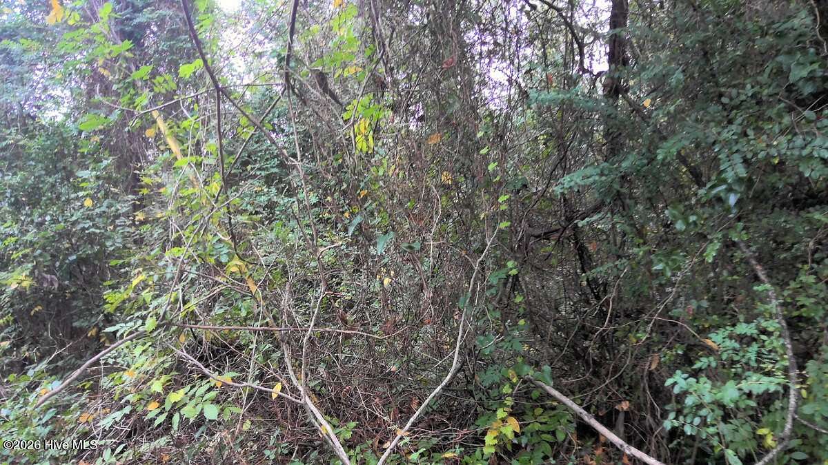 0.31 Acres of Residential Land for Sale in Kinston, North Carolina