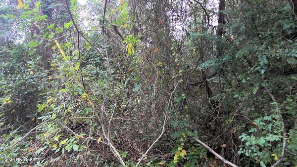 0.31 Acres of Residential Land for Sale in Kinston, North Carolina