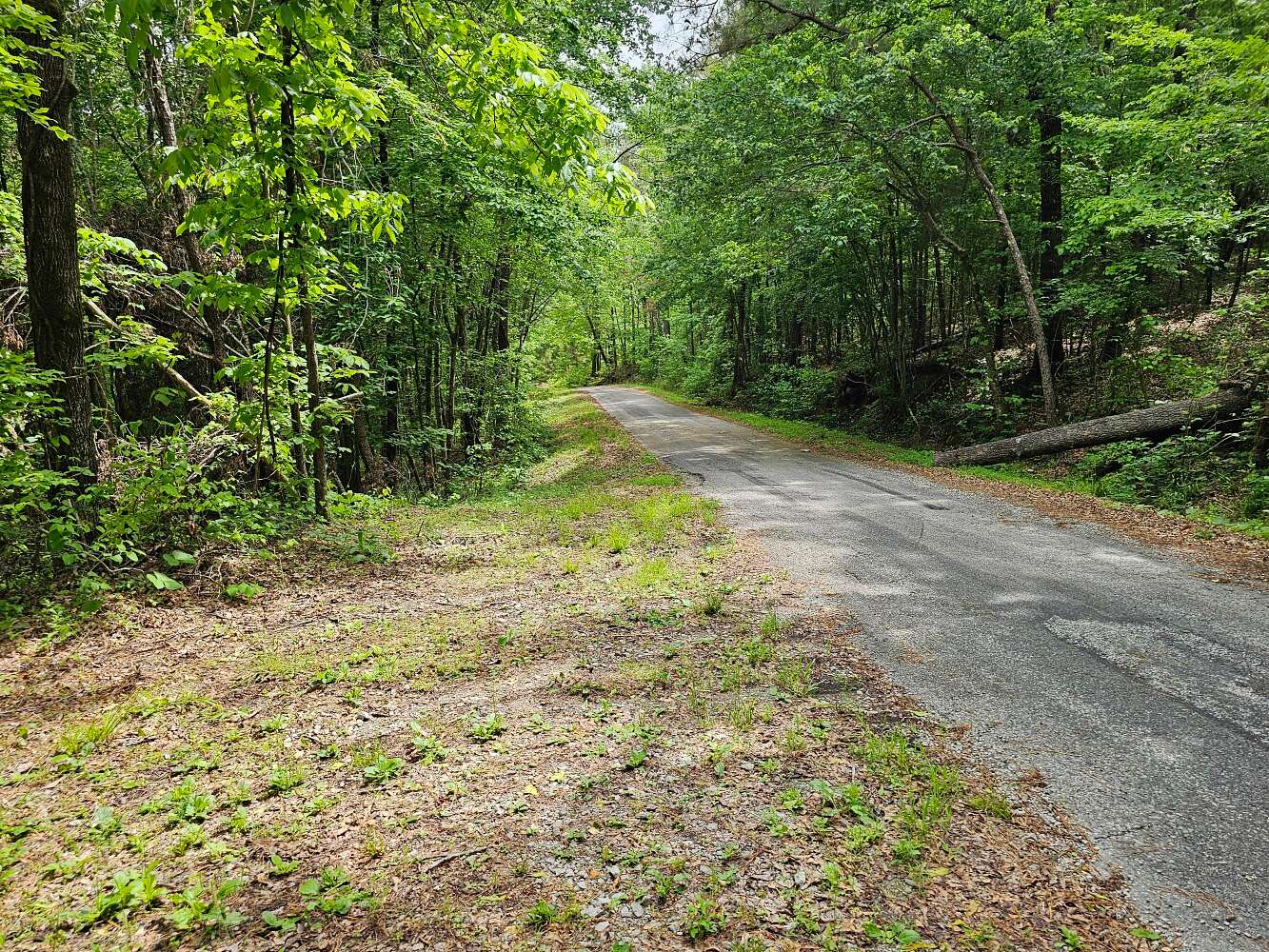 85 Acres of Recreational & Residential Land for Sale in Hamilton, Alabama