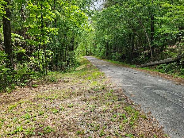 85 Acres of Recreational & Residential Land for Sale in Hamilton, Alabama