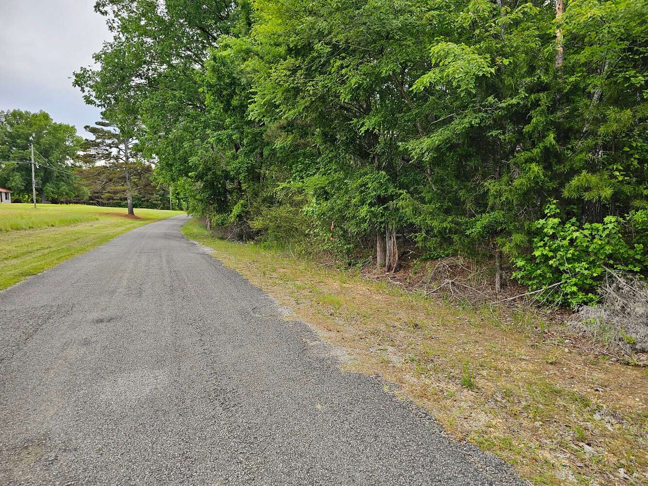 29 Acres of Recreational & Residential Land for Sale in Vina, Alabama