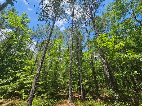 166 Acres of Recreational & Residential Land for Sale in Millport, Alabama