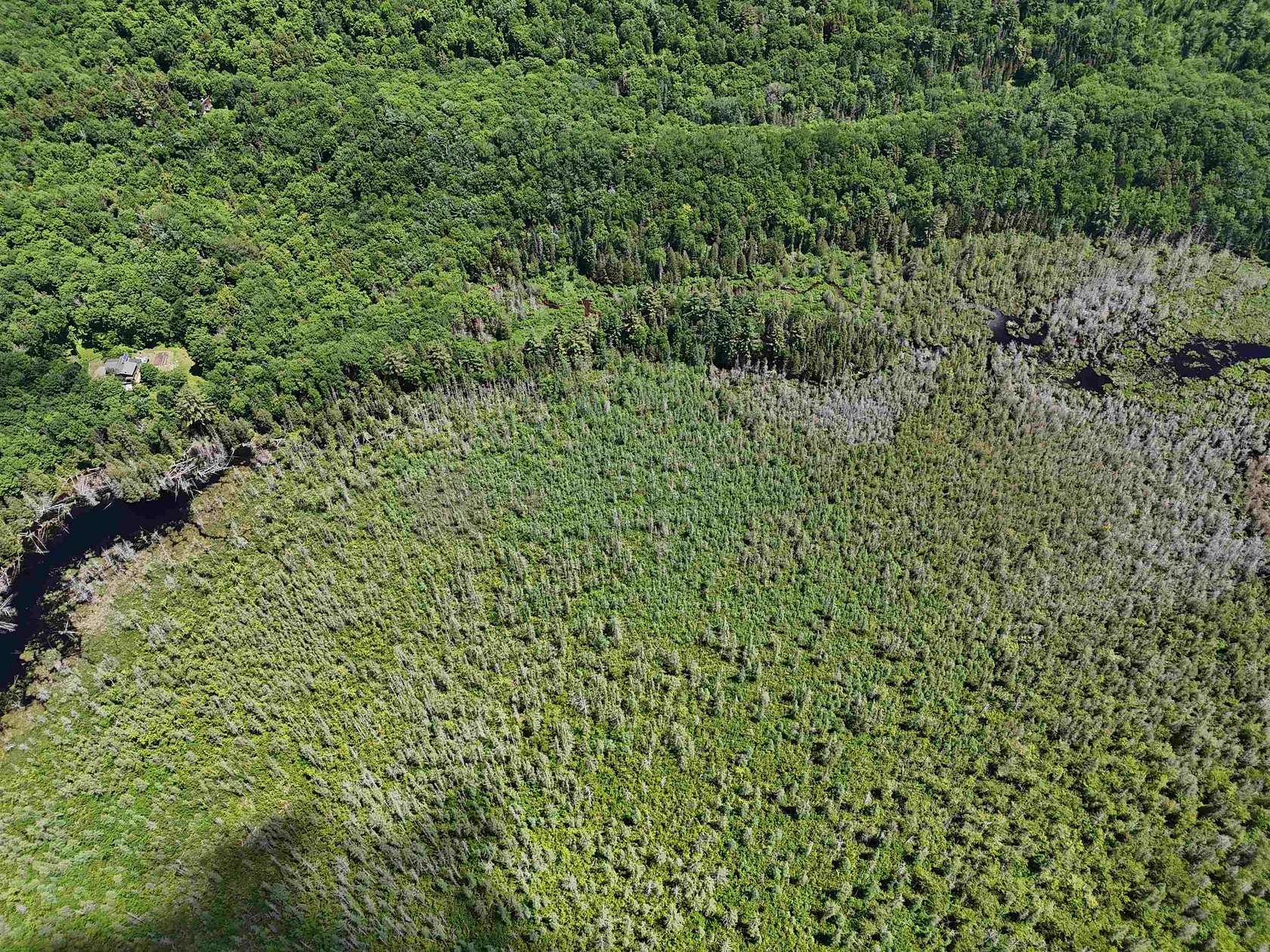 112 Acres of Recreational & Residential Land for Sale in Brighton Town, Vermont