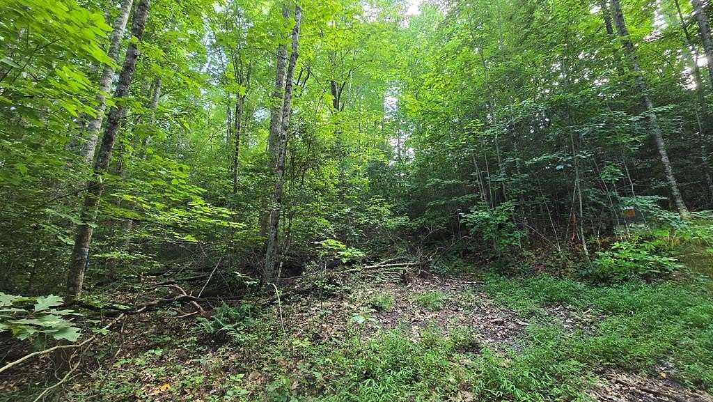0.56 Acres of Land for Sale in Hayesville, North Carolina