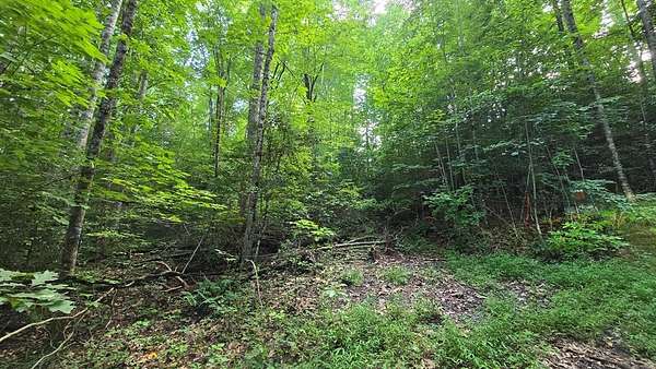 0.56 Acres of Land for Sale in Hayesville, North Carolina
