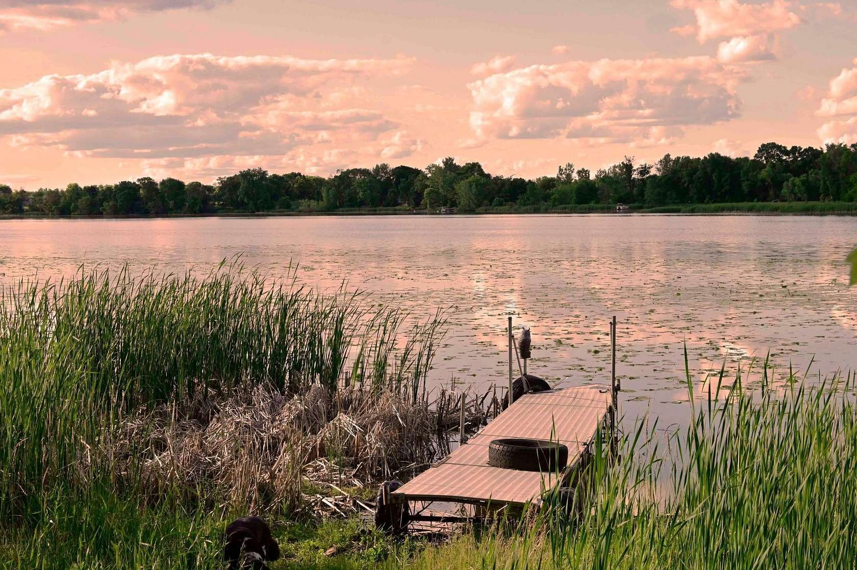 5.6 Acres of Land with Home for Sale in Delano, Minnesota