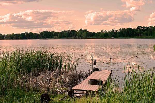 5.6 Acres of Land with Home for Sale in Delano, Minnesota