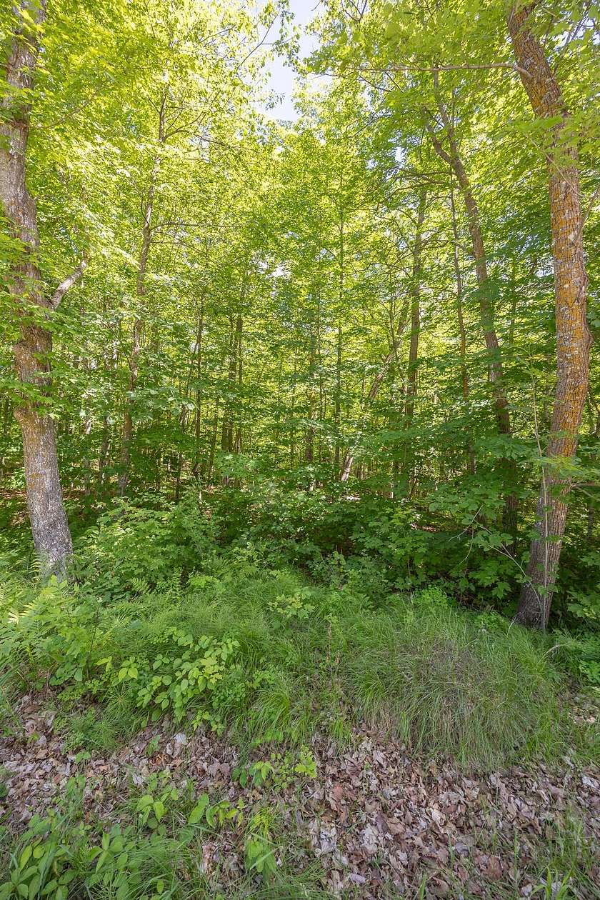 5.87 Acres of Land for Sale in Longville, Minnesota
