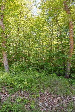 5.87 Acres of Land for Sale in Longville, Minnesota