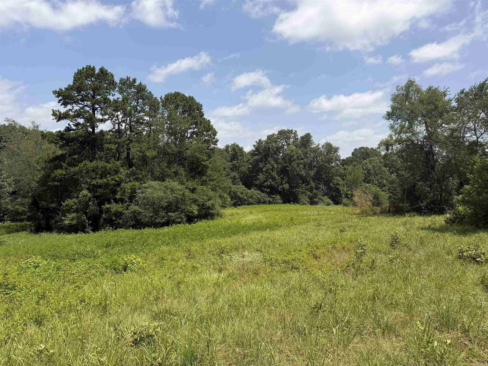 65 Acres of Recreational & Residential Land for Sale in Jacksonville, Arkansas