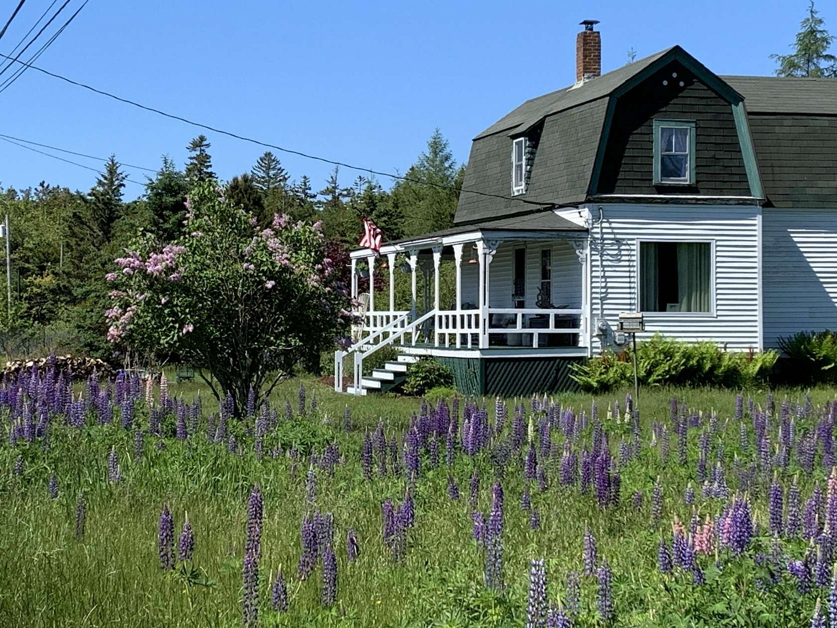3 Acres of Land with Home for Sale in Cranberry Isles, Maine