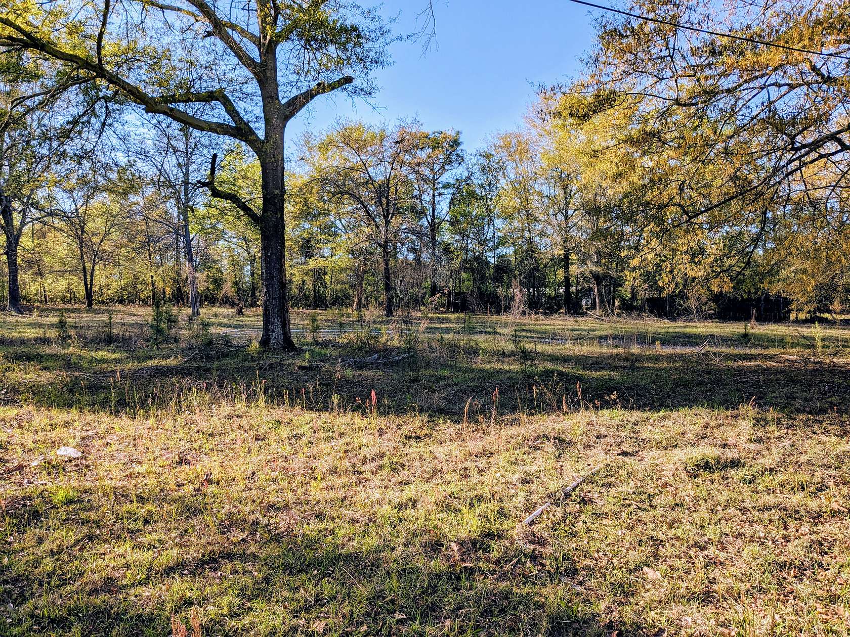 5 Acres of Residential Land for Sale in Warrenville, South Carolina