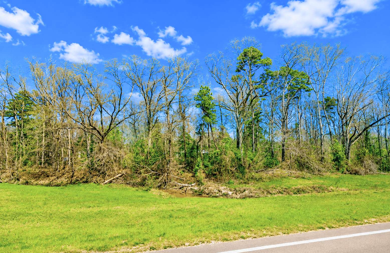 0.31 Acres of Residential Land for Sale in Beaumont, Mississippi