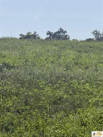 6 Acres of Land for Sale in Glasgow, Kentucky