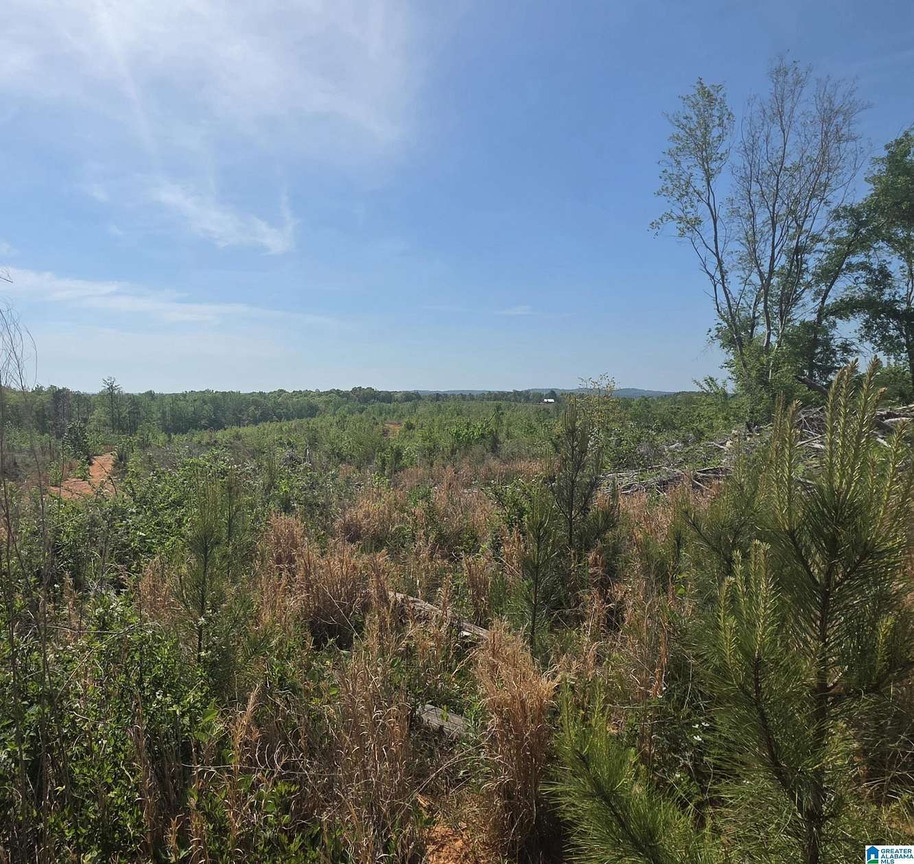11.3 Acres of Land for Sale in Wedowee, Alabama