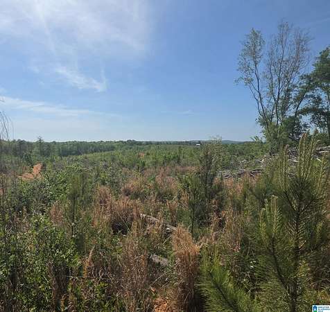 11.3 Acres of Land for Sale in Wedowee, Alabama