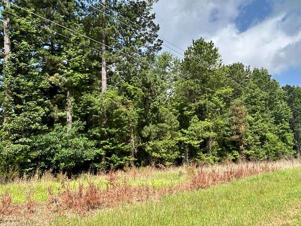 52 Acres of Recreational & Residential Land for Sale in Magnolia, Arkansas