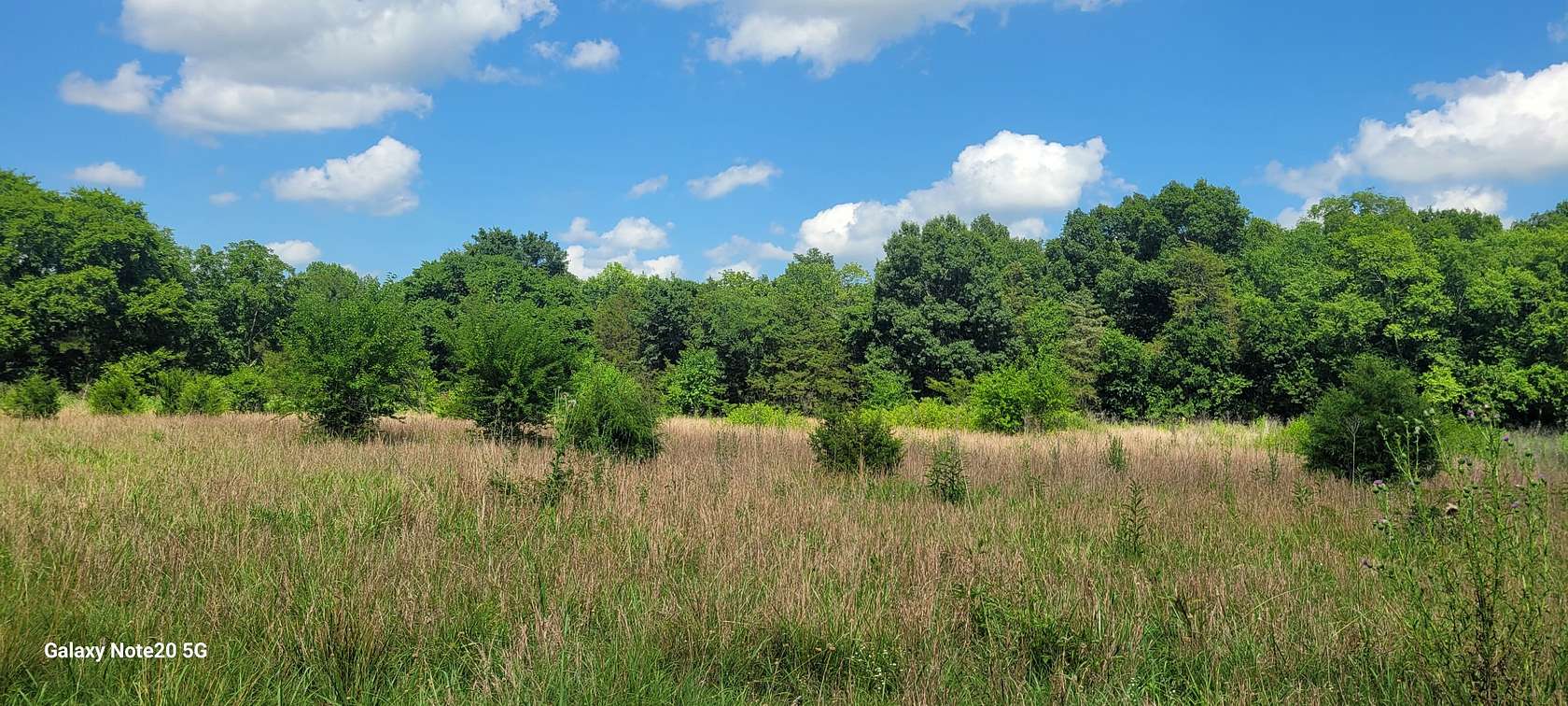 55 Acres of Land for Sale in Chapel Hill, Tennessee
