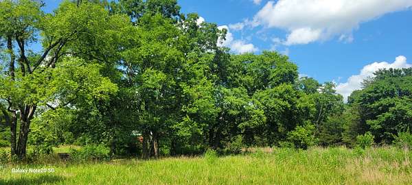 55 Acres of Land for Sale in Chapel Hill, Tennessee