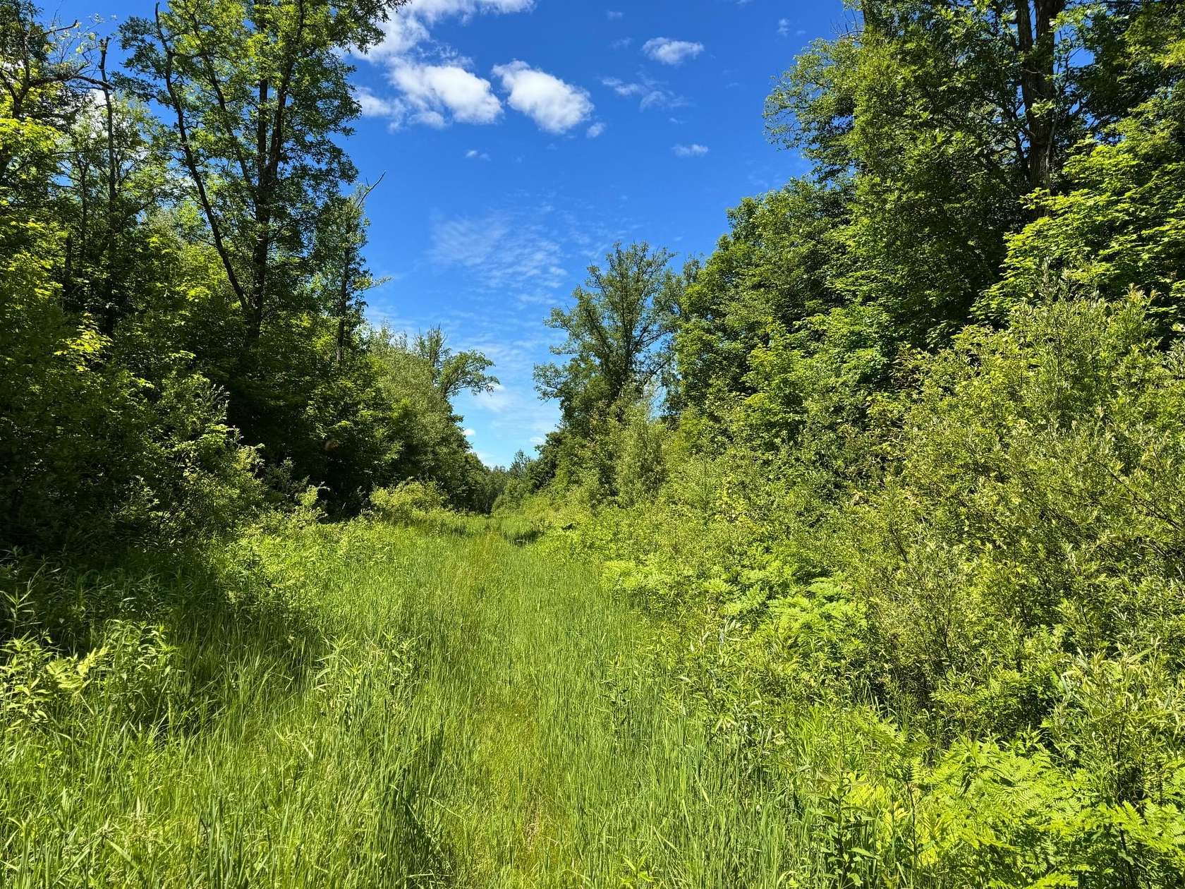 230 Acres of Recreational Land for Sale in McGregor, Minnesota