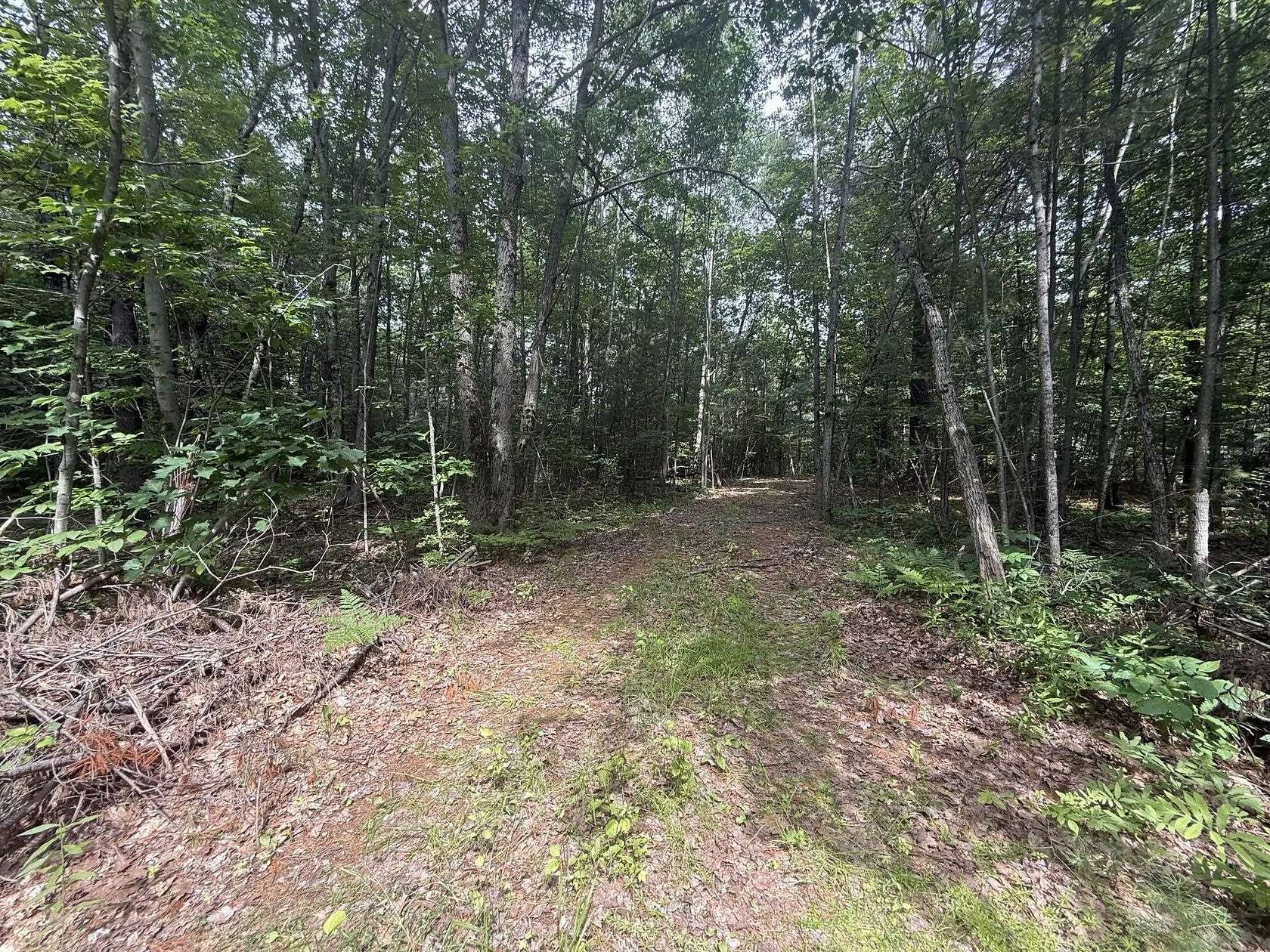1.3 Acres of Residential Land for Sale in Gladwin, Michigan