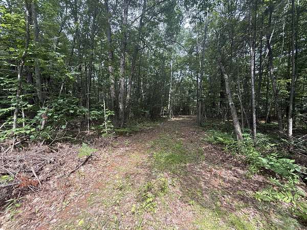 1.3 Acres of Residential Land for Sale in Gladwin, Michigan