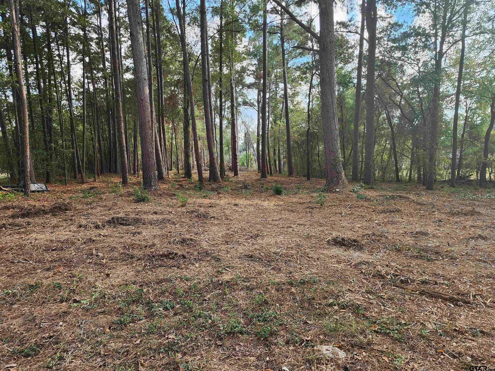 2 Acres of Land for Sale in Pittsburg, Texas