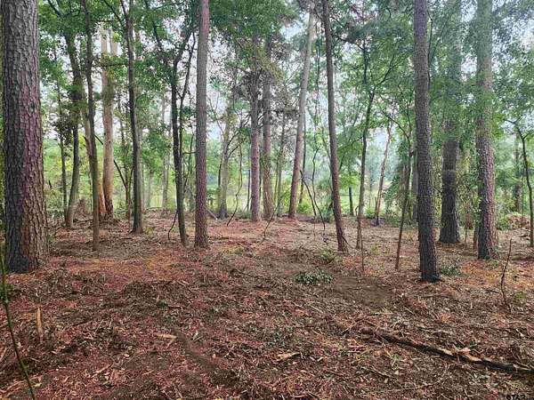 2 Acres of Residential Land for Sale in Pittsburg, Texas