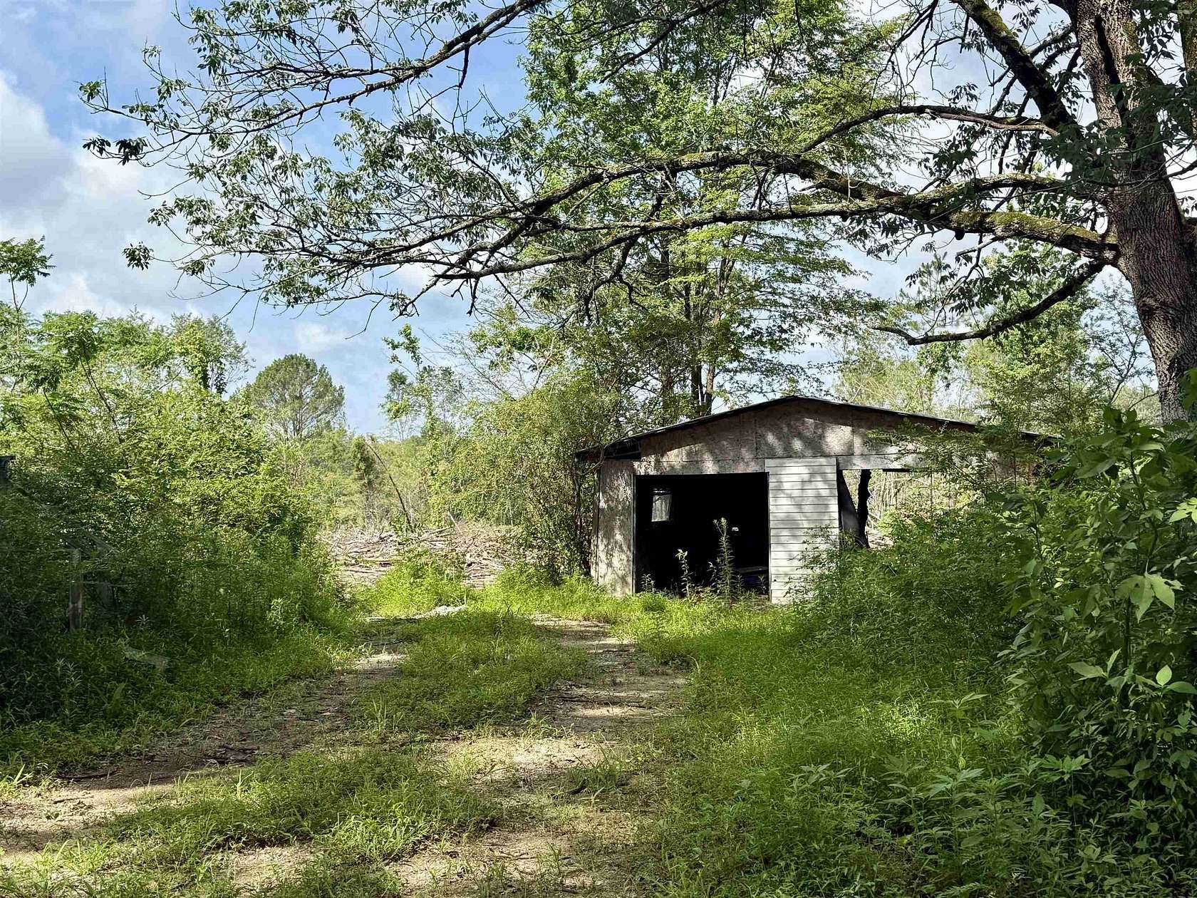 20.3 Acres of Land for Sale in Florence, Alabama