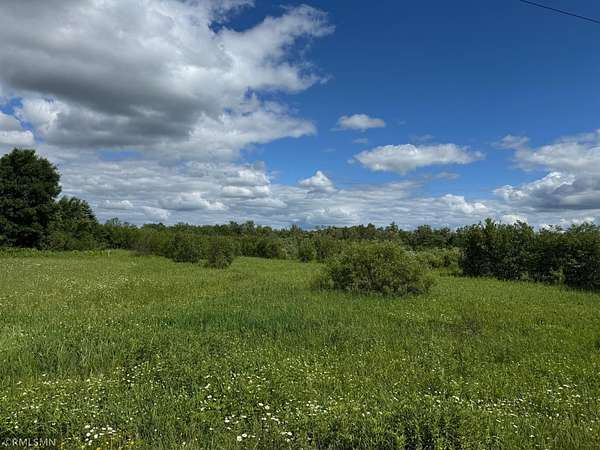 40 Acres of Land for Sale in Mora, Minnesota