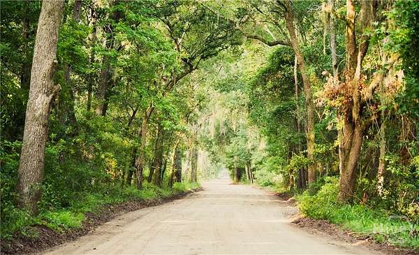 0.47 Acres of Residential Land for Sale in Daufuskie Island, South Carolina