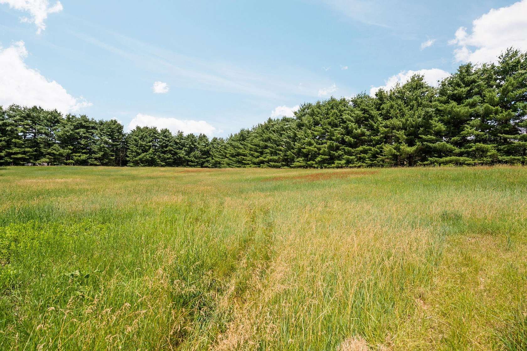 3.87 Acres of Residential Land for Sale in Chelsea, Michigan