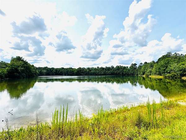 23.5 Acres of Recreational & Residential Land for Sale in Elmore, Alabama