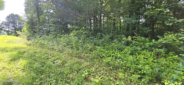 0.63 Acres of Residential Land for Sale in Maynardville, Tennessee