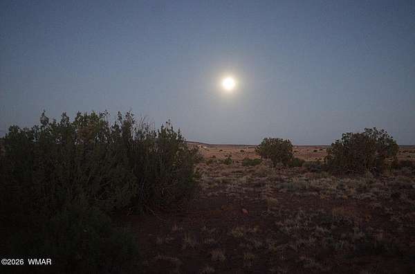 0.69 Acres of Residential Land for Sale in Concho, Arizona
