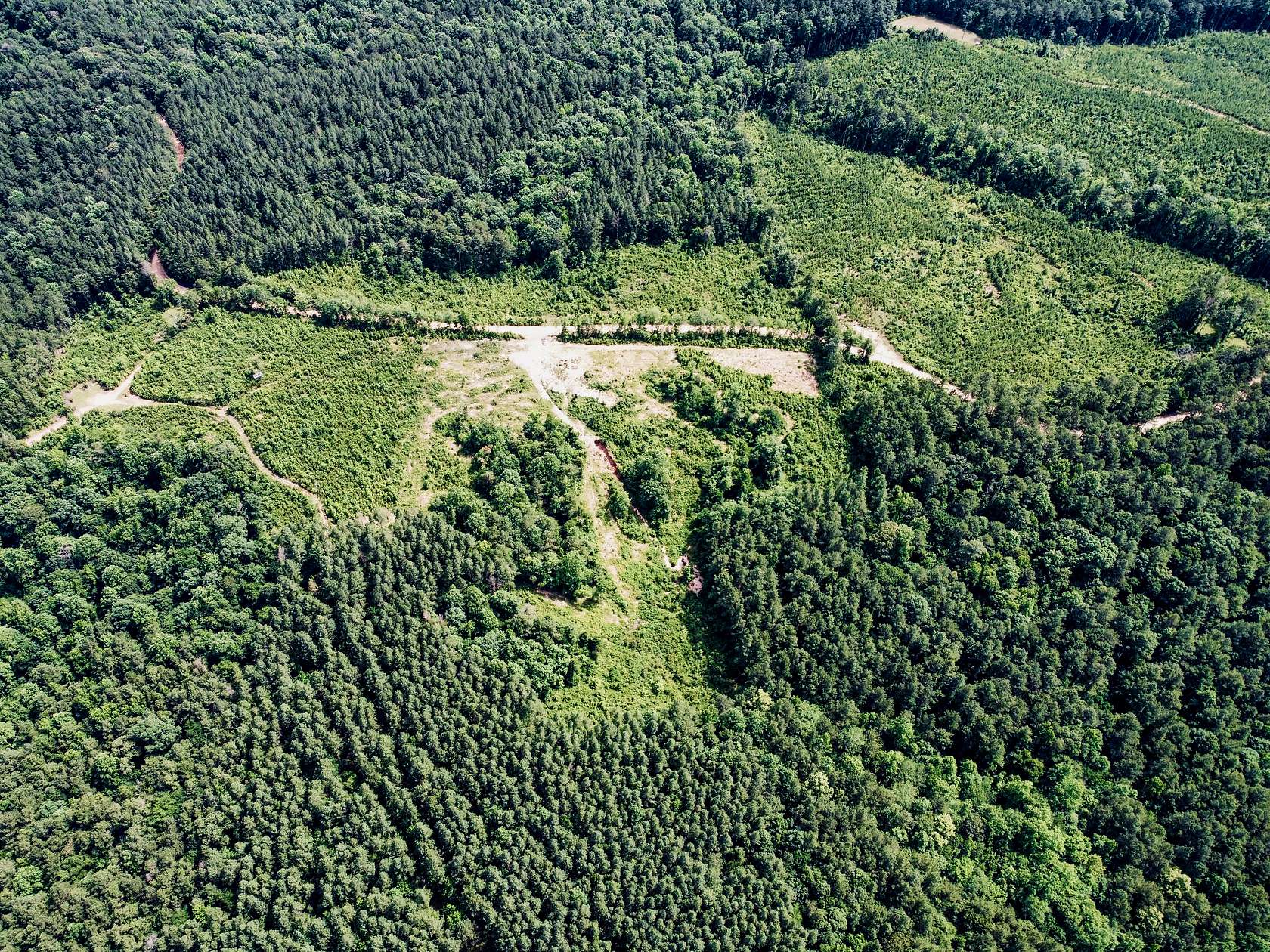 2.17 Acres of Land for Sale in Paulding, Mississippi