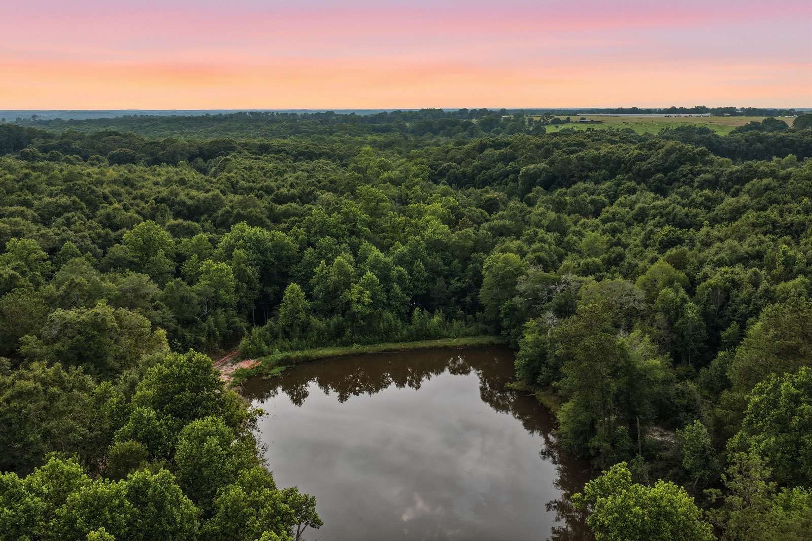 39.7 Acres of Recreational & Residential Land for Sale in Elba, Alabama