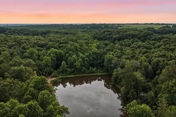 39.7 Acres of Recreational & Residential Land for Sale in Elba, Alabama