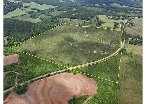 95 Acres of Land for Sale in Clopton, Alabama