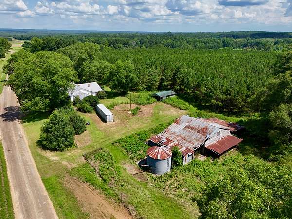 83 Acres of Land for Sale in Clopton, Alabama