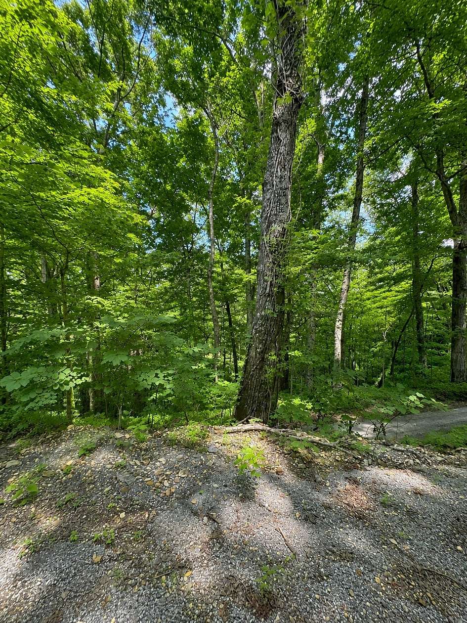 0.67 Acres of Residential Land for Sale in Smithville, Tennessee