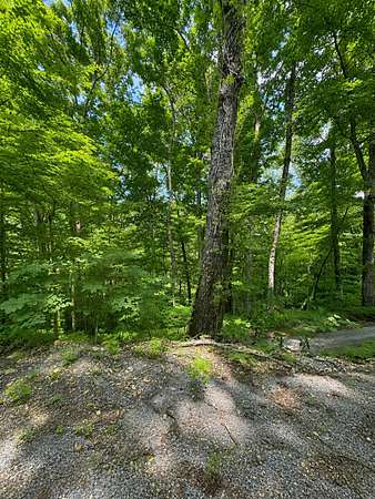 0.67 Acres of Residential Land for Sale in Smithville, Tennessee